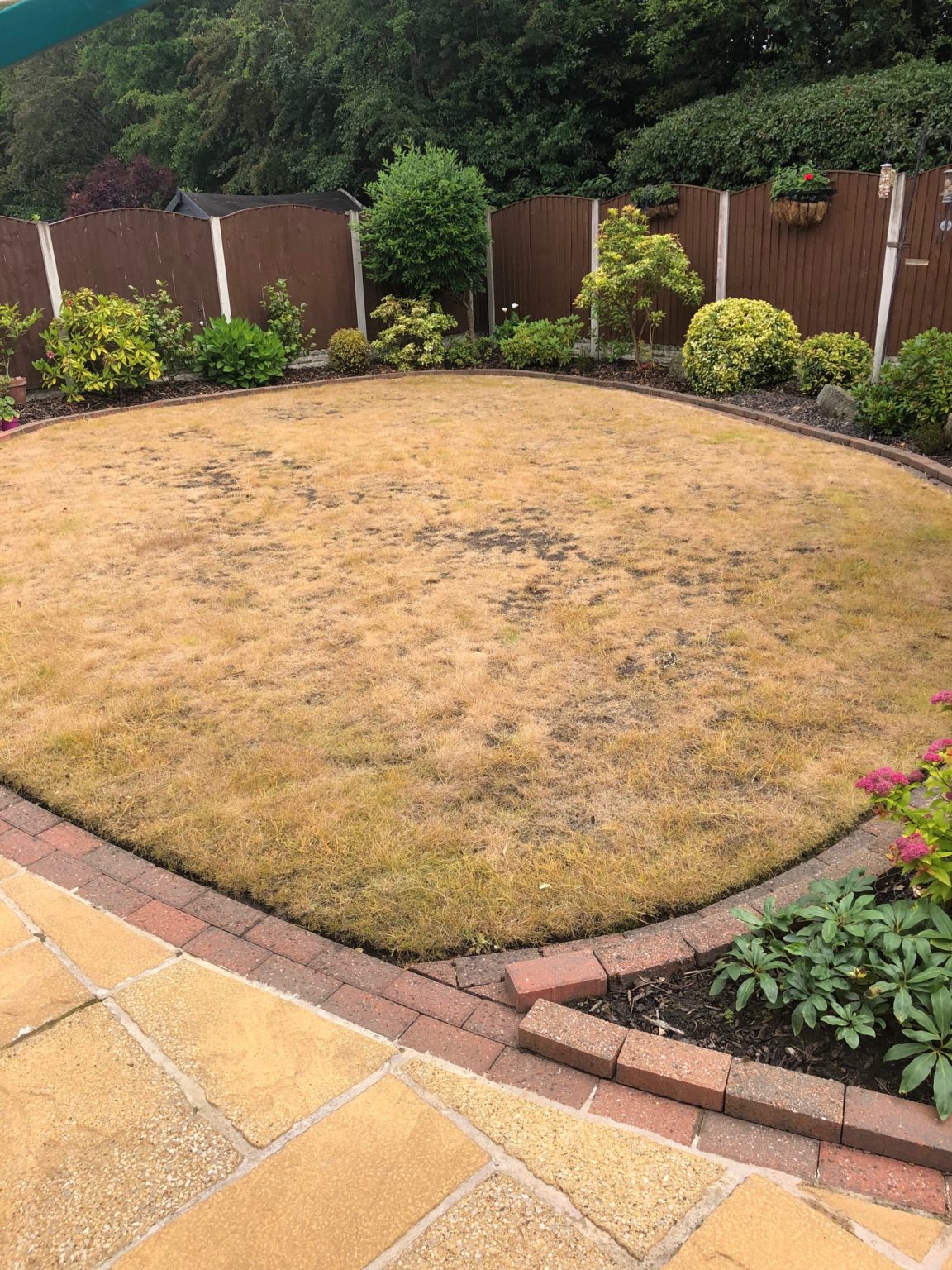 Renovation Green Man Lawn Care