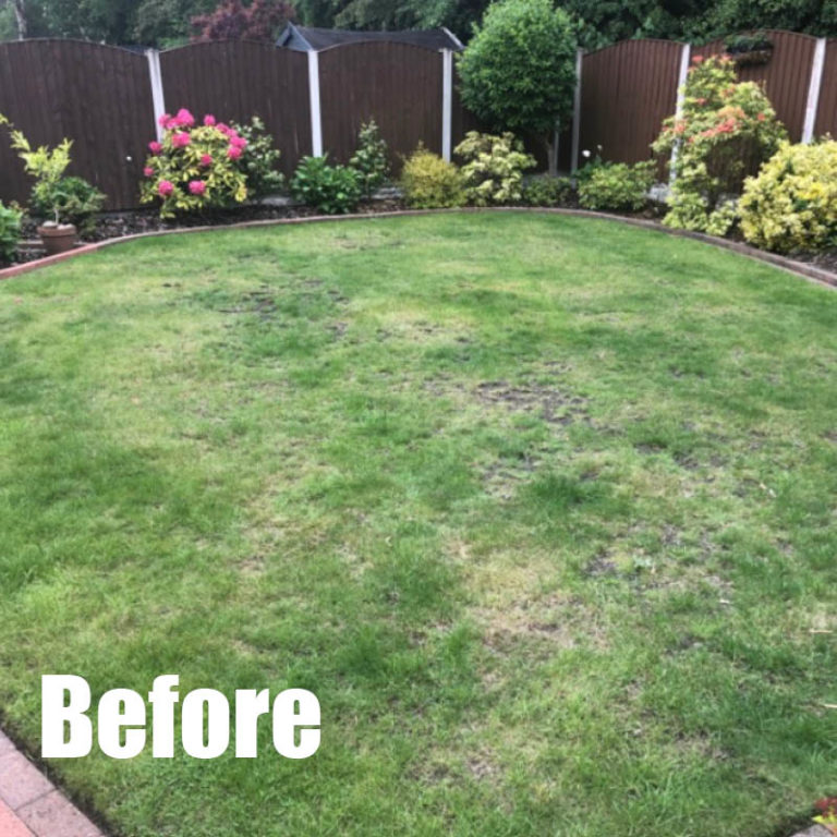 Renovation Green Man Lawn Care