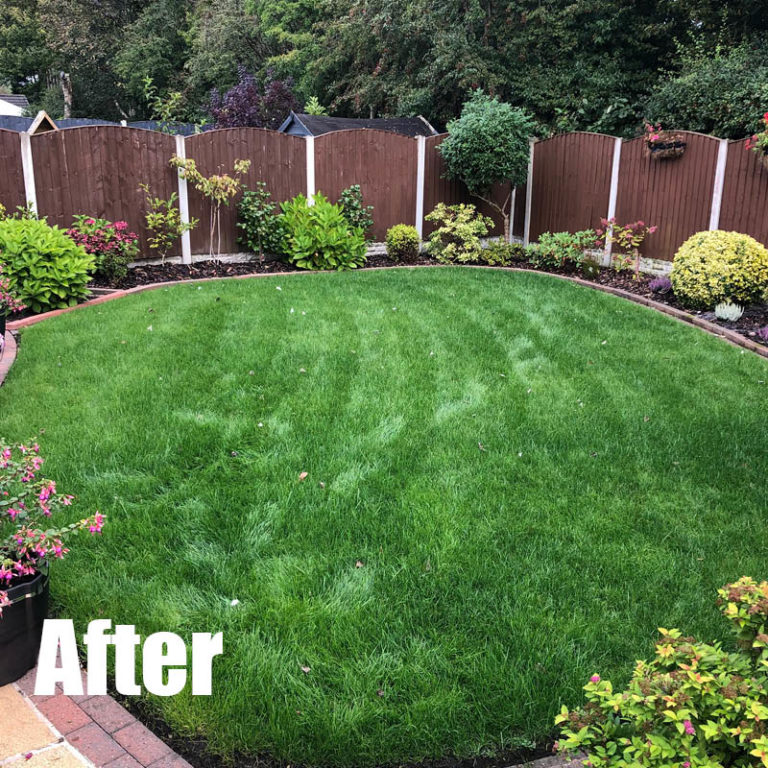 Renovation Green Man Lawn Care